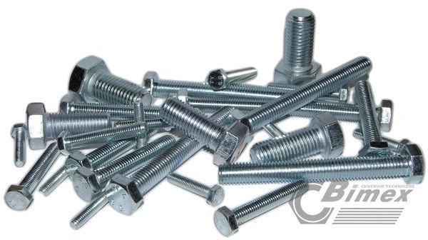 bimex6293495