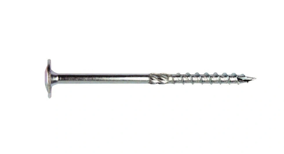 bimex6316741