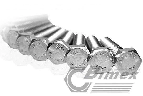 bimex6339655
