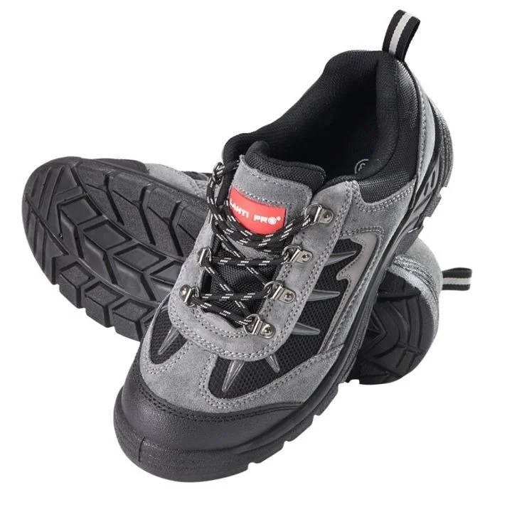 domitech6510841